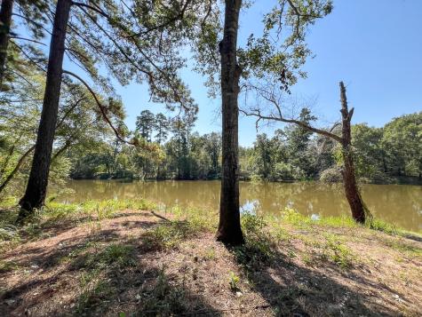 1 Off County Road 2925 Grapeland TX 75844