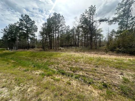219 Iron Horse Road New Waverly TX 77358