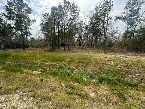 219 Iron Horse Road New Waverly TX 77358