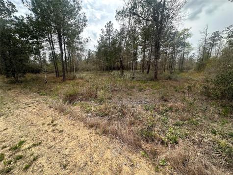 219 Iron Horse Road New Waverly TX 77358