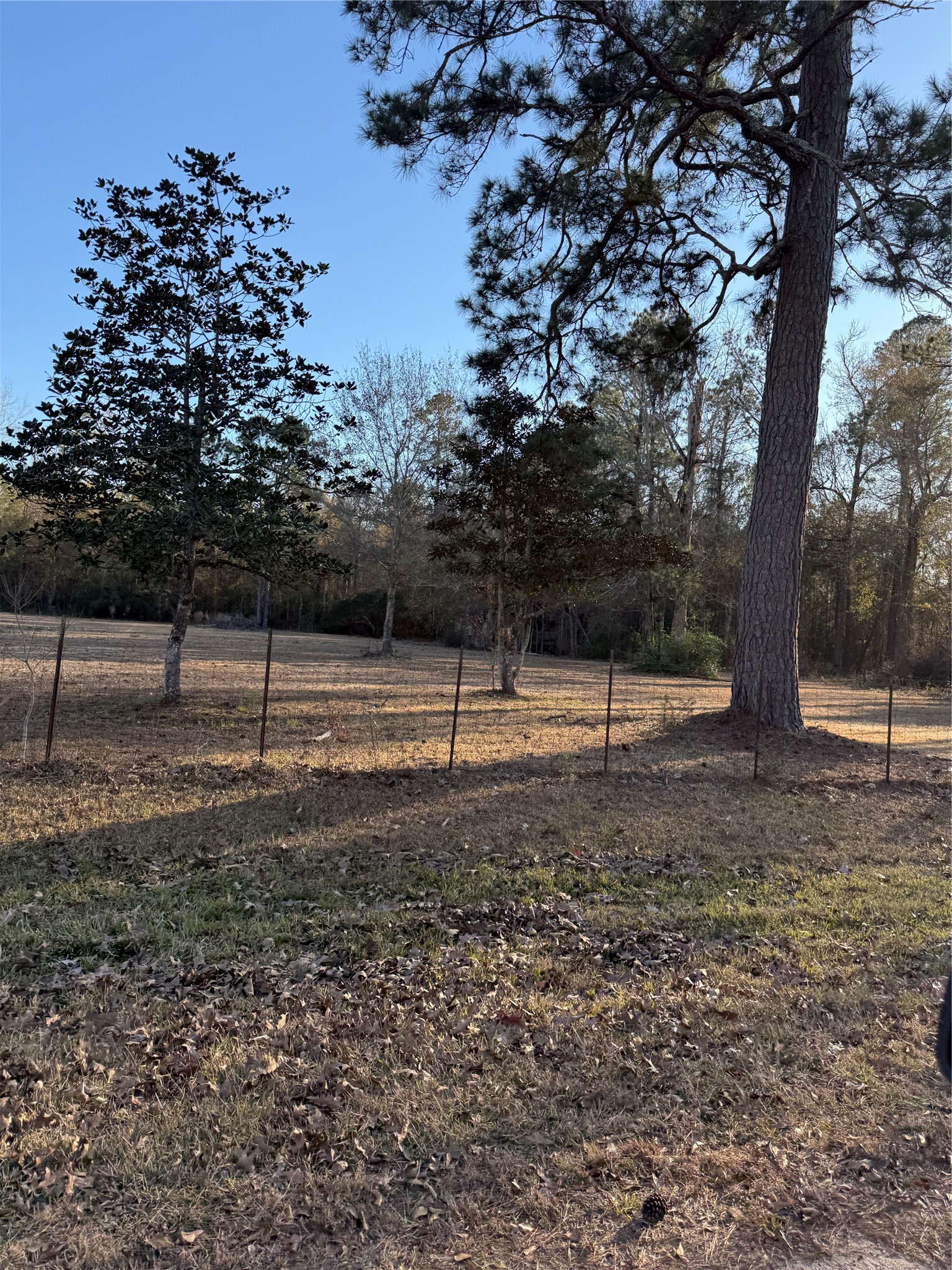 1621 County Road 308 Cleveland TX 77327