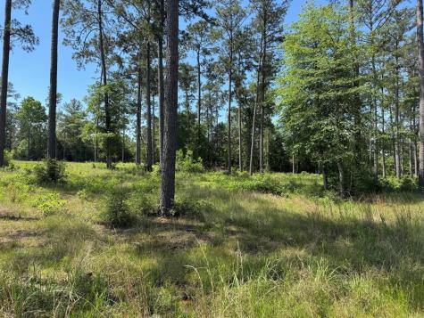006 Private Road 6028 Tract 1-6 Brookeland TX 75931