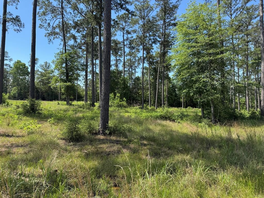 006 Private Road 6028 Tract 1-6 Brookeland TX 75931
