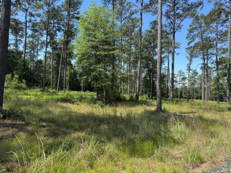 006 Private Road 6028 Tract 1-6 Brookeland TX 75931