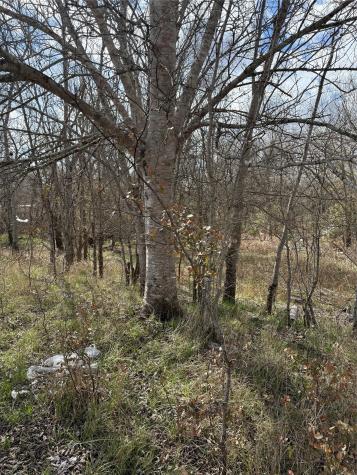 000 Business Highway 35 West Columbia TX 77486