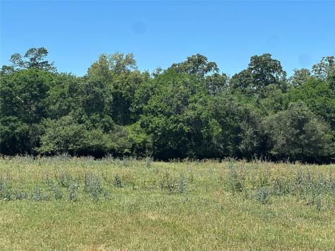 1200 Steamboat Run Bryan TX 77807