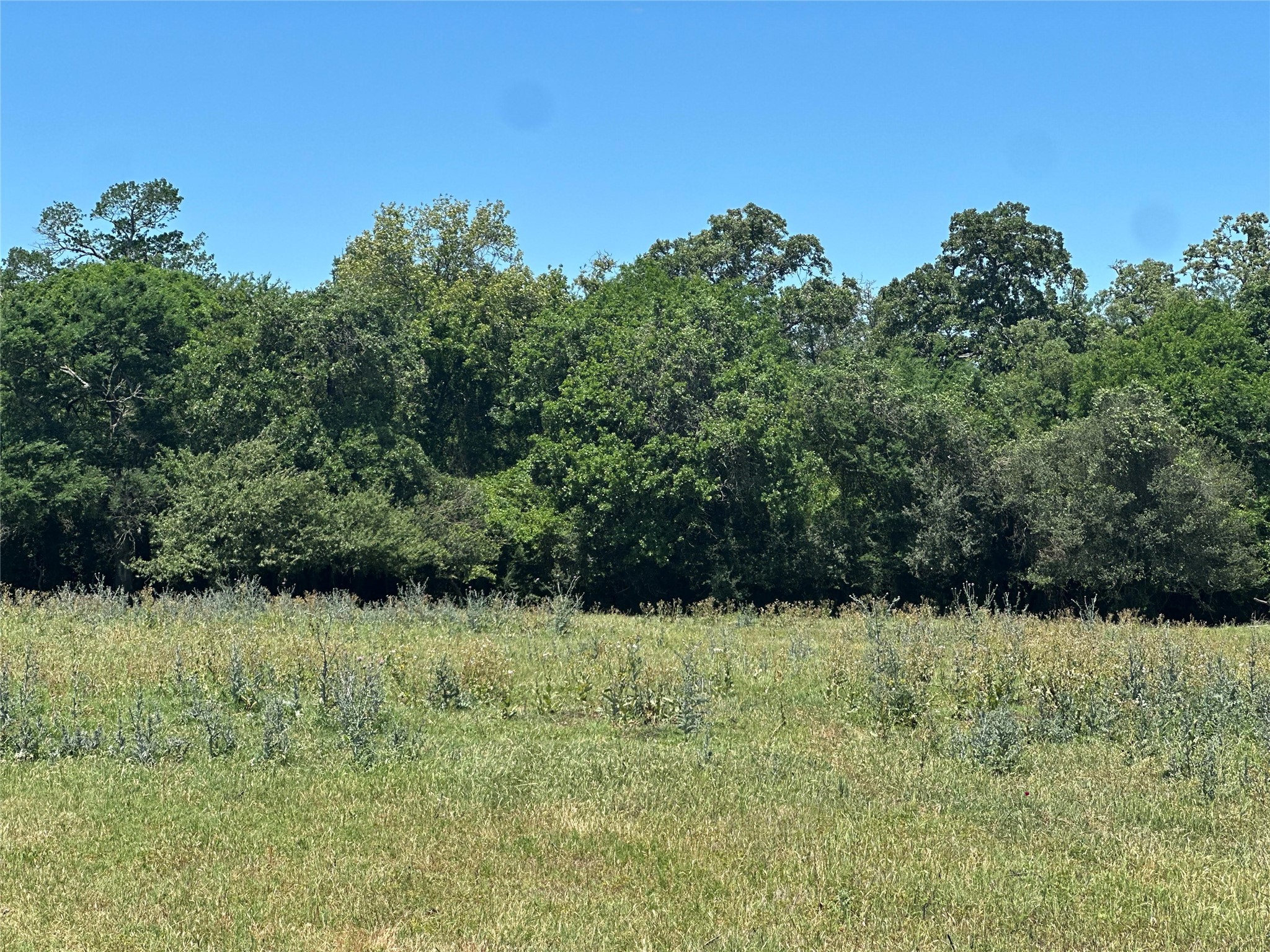 1200 Steamboat Run Bryan TX 77807