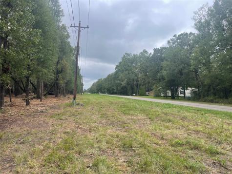 Tract C Mangum Road Livingston TX 77351