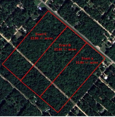 Tract C Mangum Road Livingston TX 77351