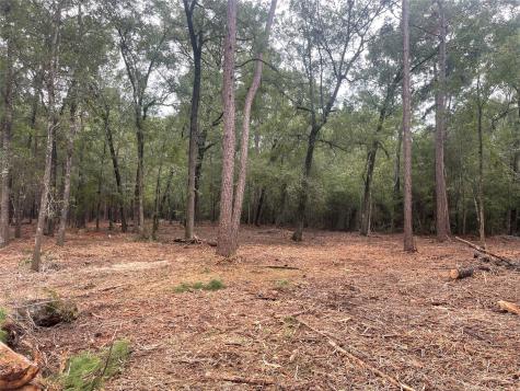 Tract C Mangum Road Livingston TX 77351
