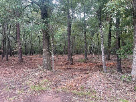 Tract C Mangum Road Livingston TX 77351