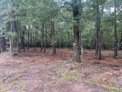 Tract C Mangum Road Livingston TX 77351
