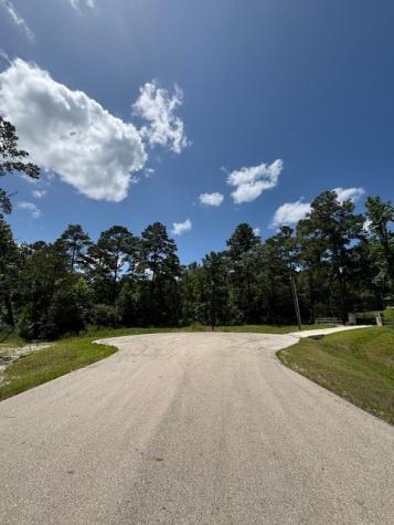 207 Sandpiper Drive New Waverly TX 77358