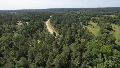 207 Sandpiper Drive New Waverly TX 77358