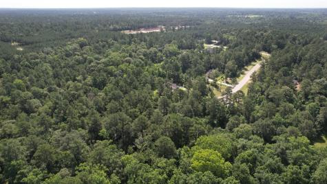 207 Sandpiper Drive New Waverly TX 77358
