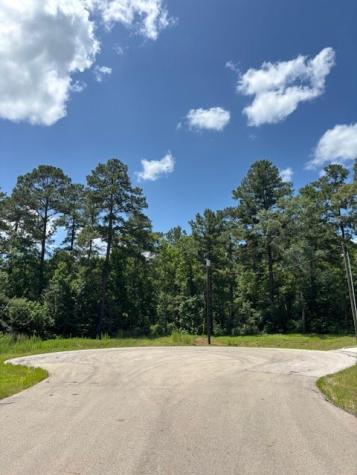 207 Sandpiper Drive New Waverly TX 77358