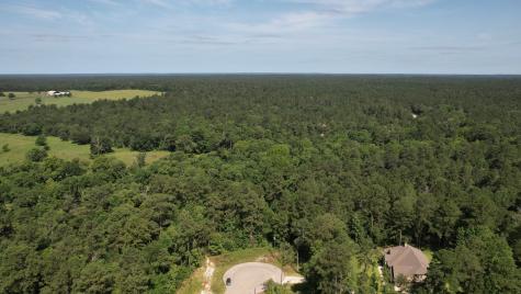207 Sandpiper Drive New Waverly TX 77358
