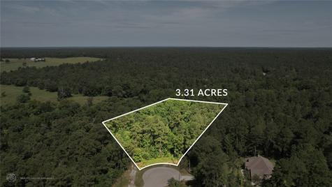 207 Sandpiper Drive New Waverly TX 77358