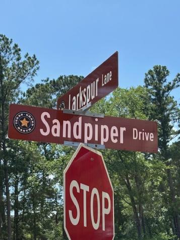 207 Sandpiper Drive New Waverly TX 77358