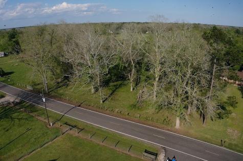 00 County Road 42 Brazoria TX 77583