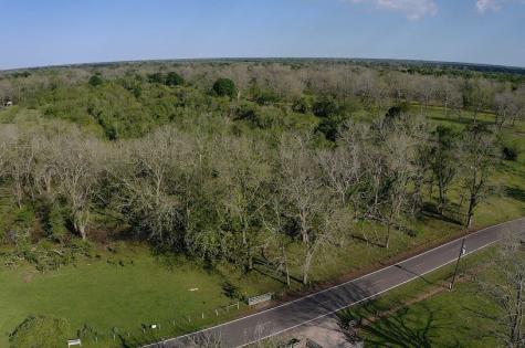 00 County Road 42 Brazoria TX 77583