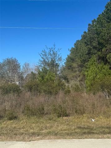 417 County Road 3546 Cleveland TX 77327