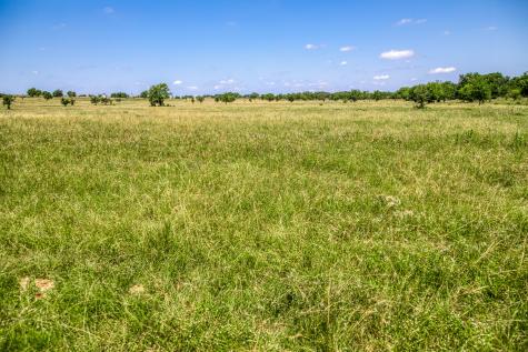 Tbd Fm 2621 Lane Brenham TX 77833