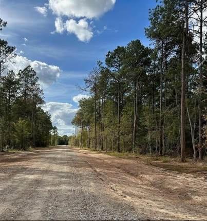 1-0001 County Road 2235 Cleveland TX 77327