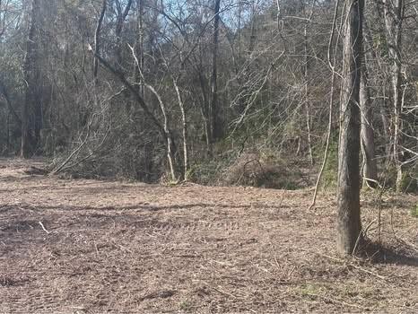 1-0001 County Road 2235 Cleveland TX 77327