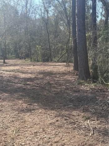 1-0001 County Road 2235 Cleveland TX 77327