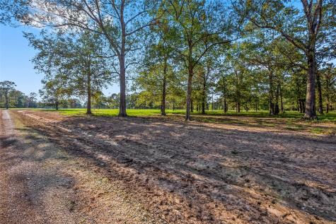 6087 Alans Memorial Lane New Waverly TX 77358