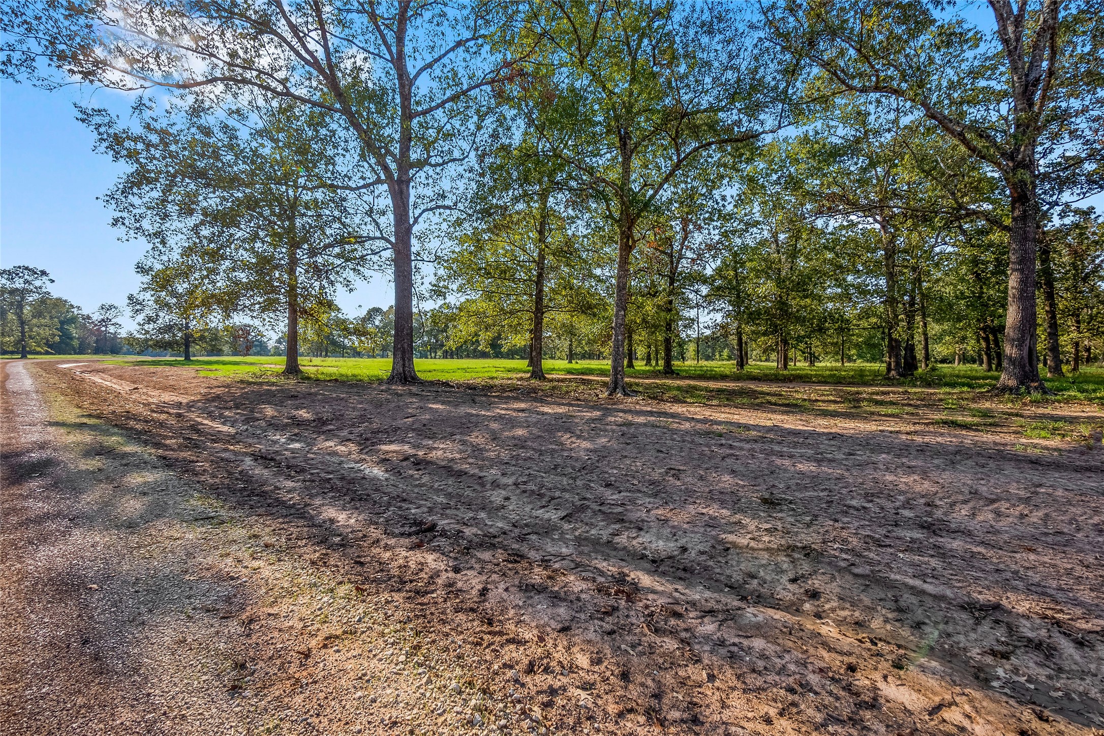 6087 Alans Memorial Lane New Waverly TX 77358