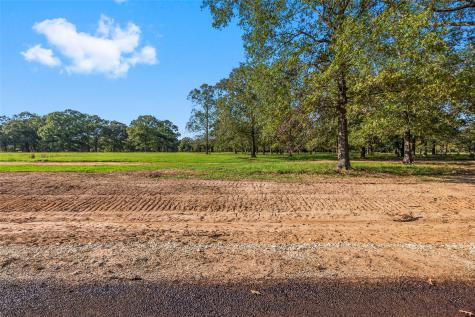 6087 Alans Memorial Lane New Waverly TX 77358