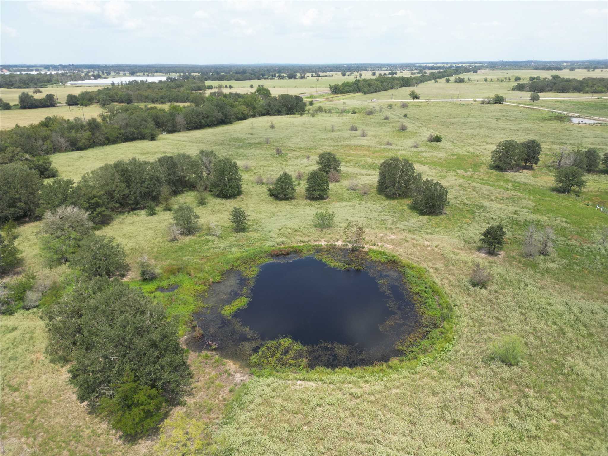 Tbd Farm To Market 387 Marquez TX 77865