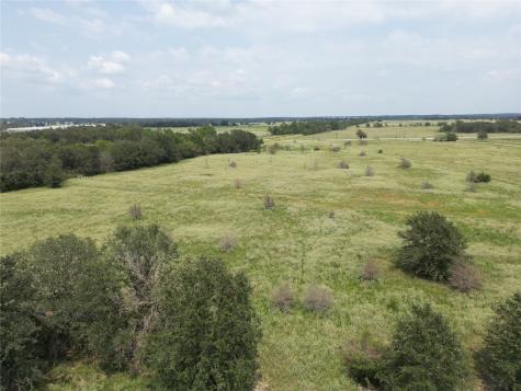 Tbd Farm To Market 387 Marquez TX 77865