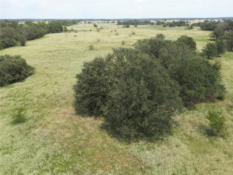 Tbd Farm To Market 387 Marquez TX 77865