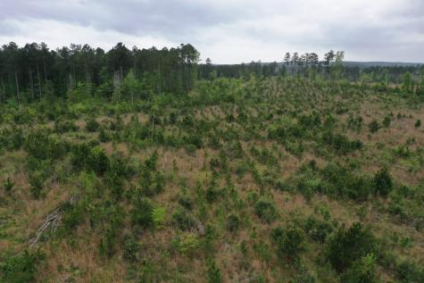 Tract 6 Cr 255 San Augustine TX 75972