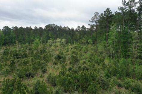 Tract 6 Cr 255 San Augustine TX 75972