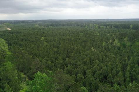 Tract 6 Cr 255 San Augustine TX 75972