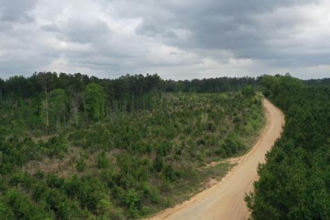 Tract 6 Cr 255 San Augustine TX 75972