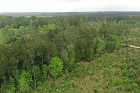 Tract 6 Cr 255 San Augustine TX 75972