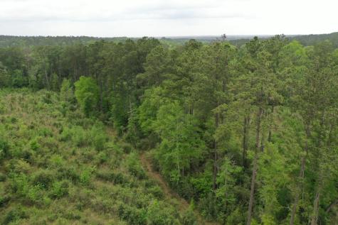 Tract 6 Cr 255 San Augustine TX 75972