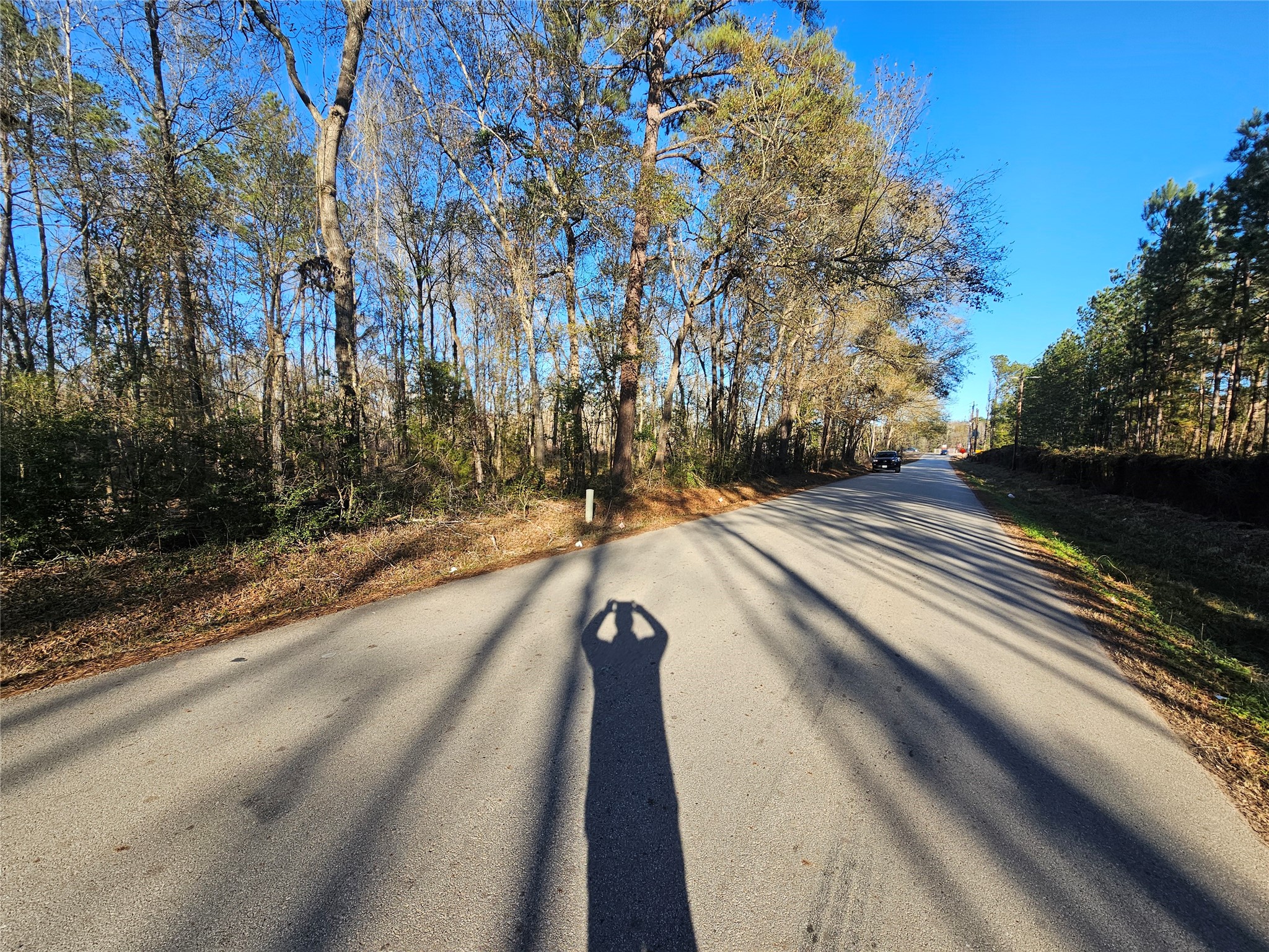 Lot 2 Sherwood Drive Shepherd TX 77371