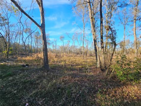 Lot 2 Sherwood Drive Shepherd TX 77371