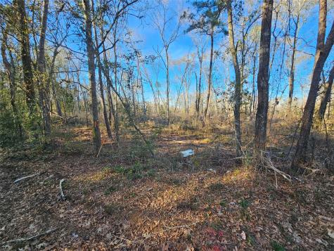 Lot 2 Sherwood Drive Shepherd TX 77371