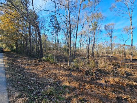 Lot 2 Sherwood Drive Shepherd TX 77371