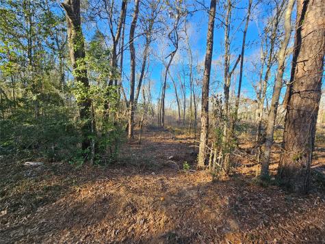 Lot 2 Sherwood Drive Shepherd TX 77371