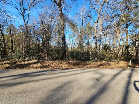 Lot 2 Sherwood Drive Shepherd TX 77371