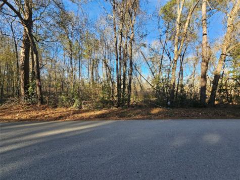 Lot 2 Sherwood Drive Shepherd TX 77371