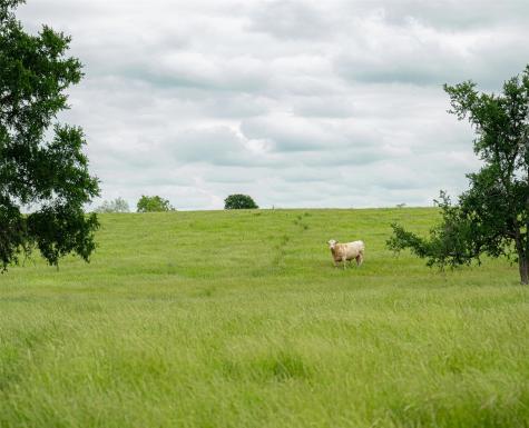 1716 A County Road 469 Coupland TX 78615
